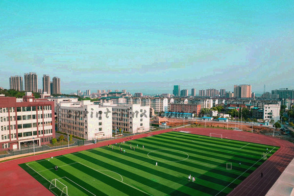西安地标剪影与体育元素结合图